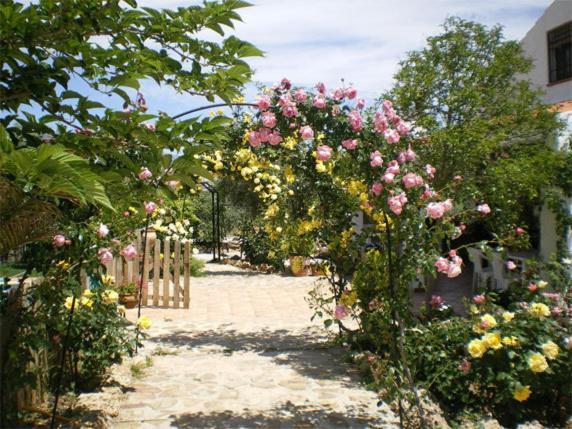 Casas Rurales Cazorla-Alcon Pozo Alcon Ruang foto