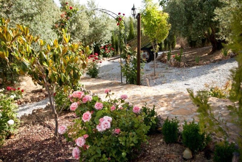 Casas Rurales Cazorla-Alcon Pozo Alcon Ruang foto