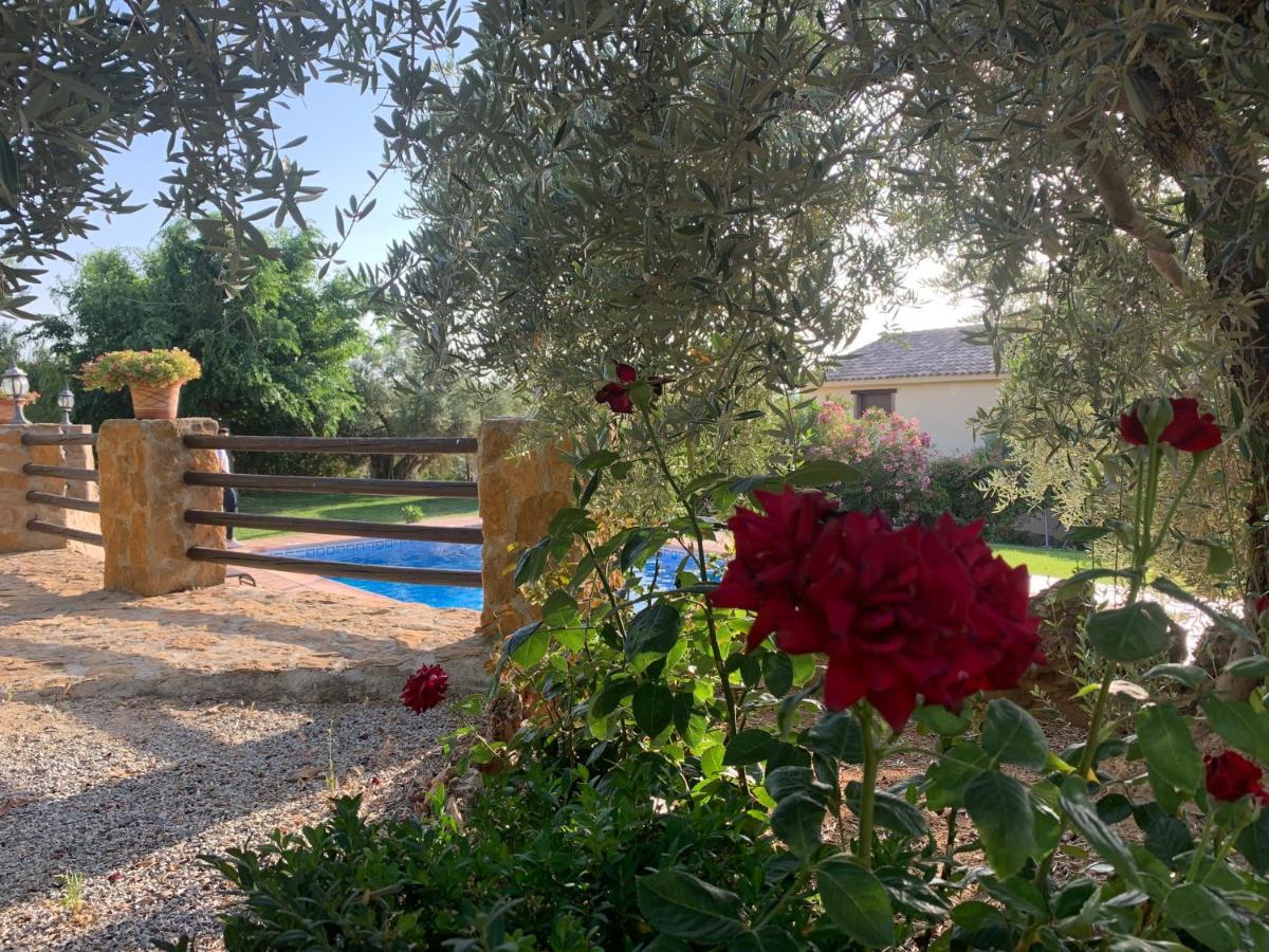 Casas Rurales Cazorla-Alcon Pozo Alcon Bagian luar foto