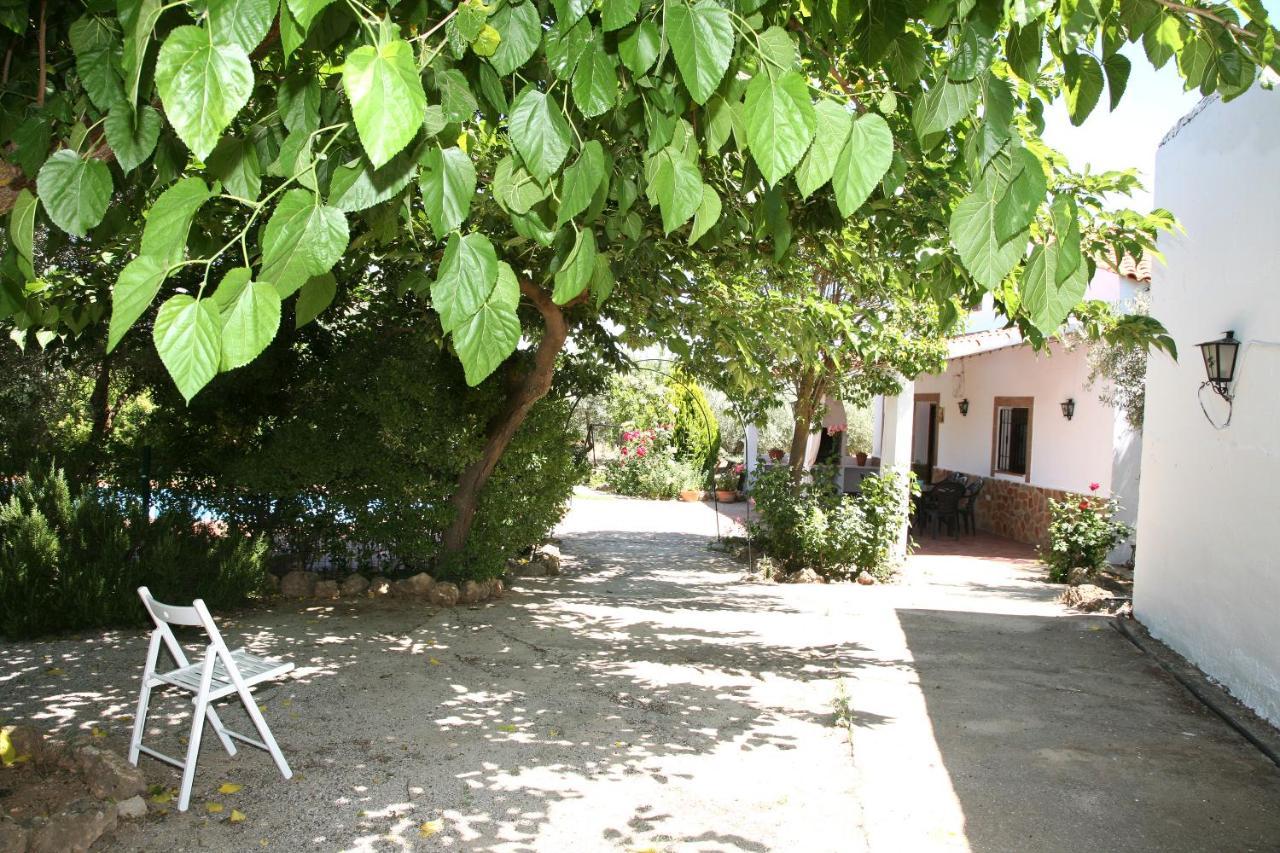 Casas Rurales Cazorla-Alcon Pozo Alcon Bagian luar foto